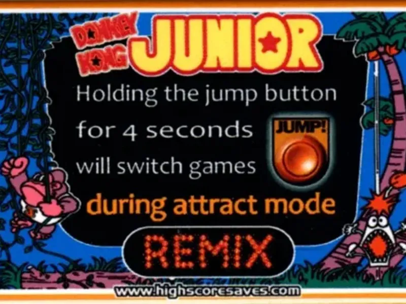 Donkey Kong Jr Remix Instruction Magnet